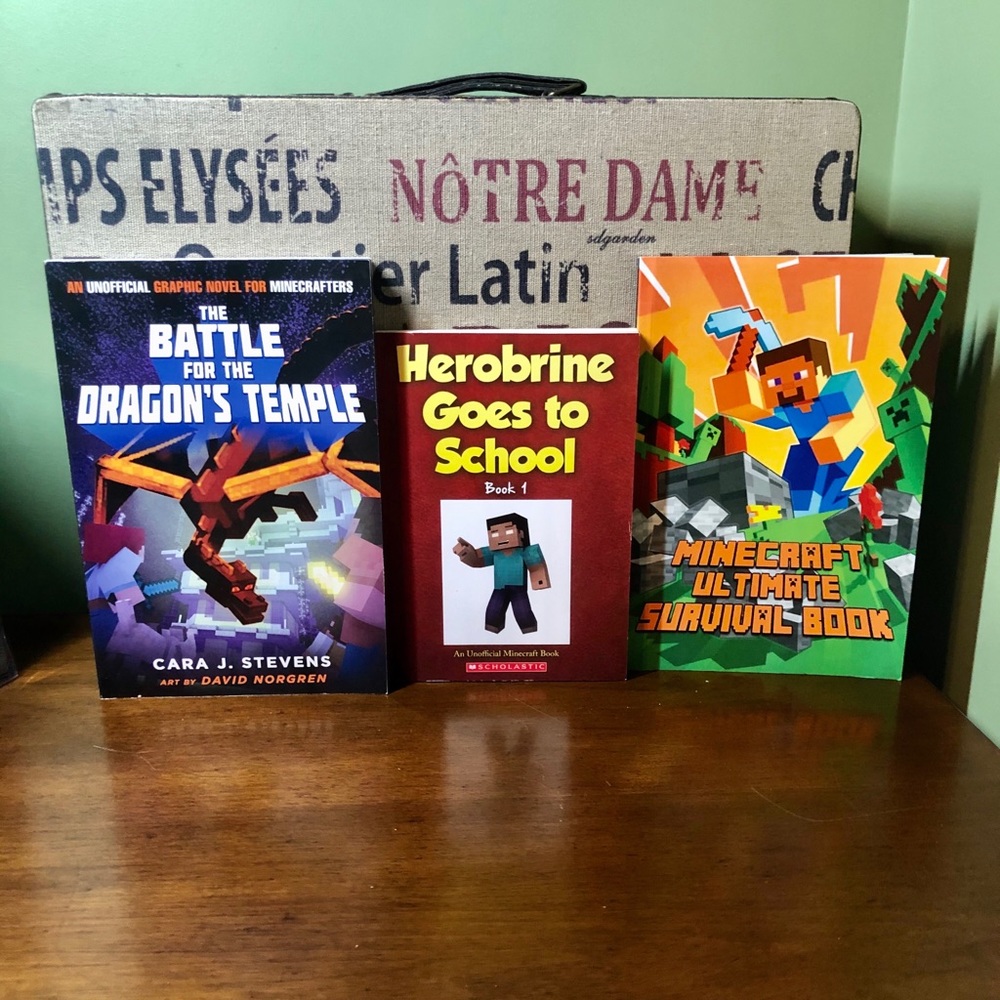 New Children’s Minecraft Books Set of 3